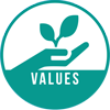 Value Icon